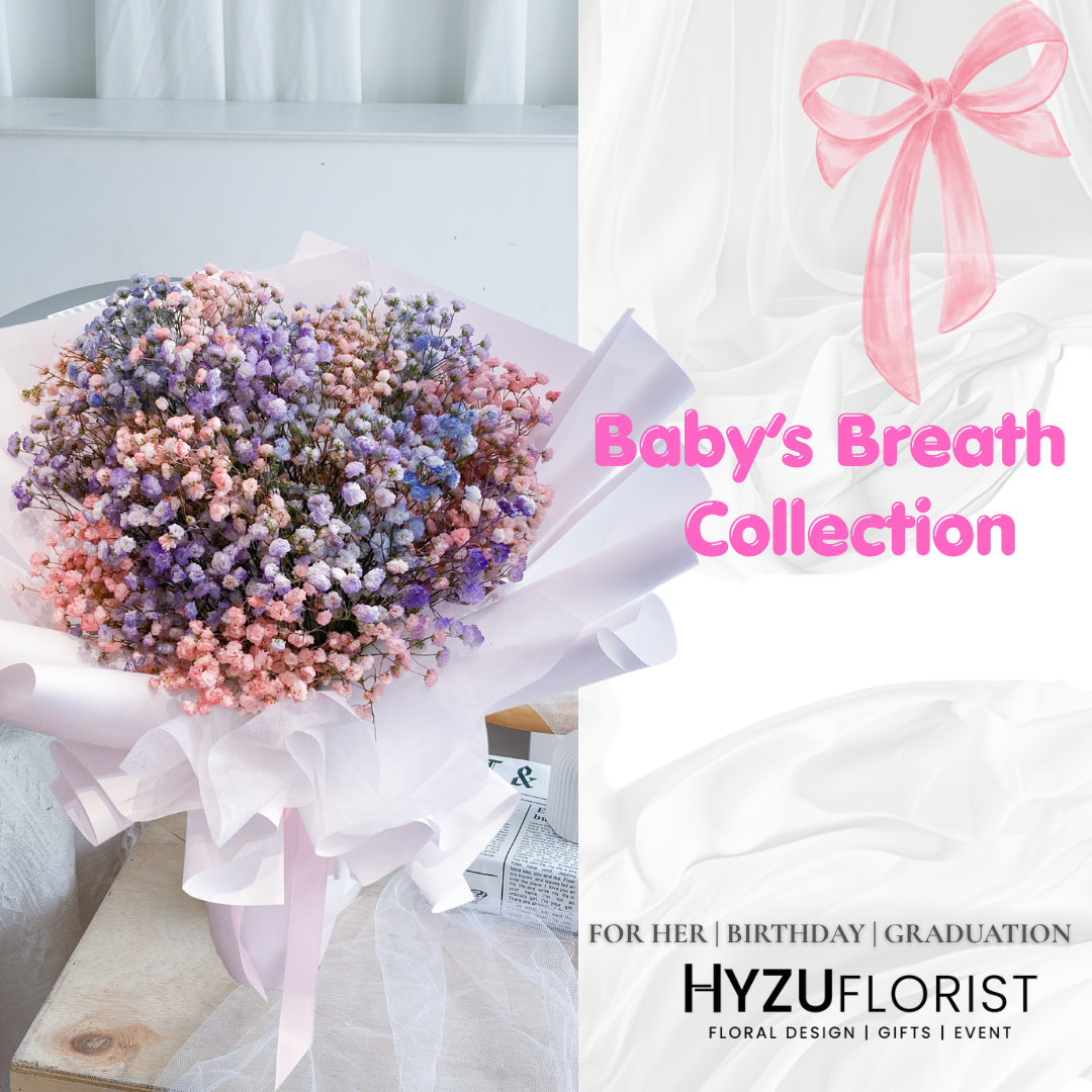 Baby's Breath