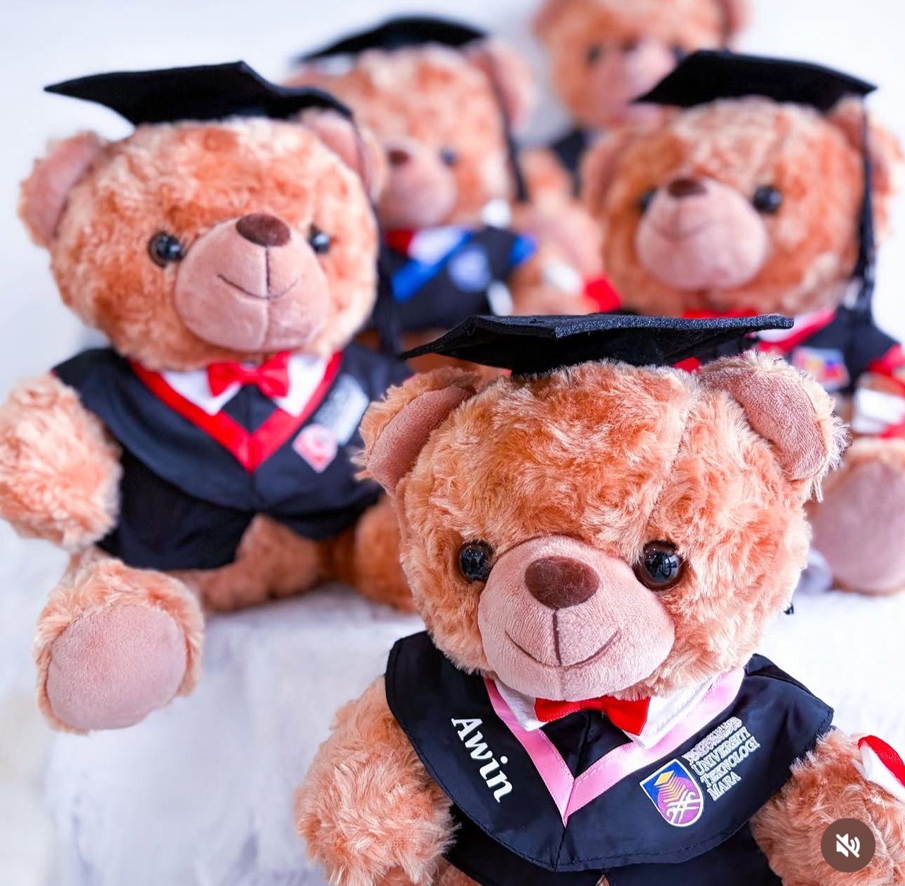 Graduation Teddy