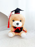 7 Inch Grad Teddy (Random Design)