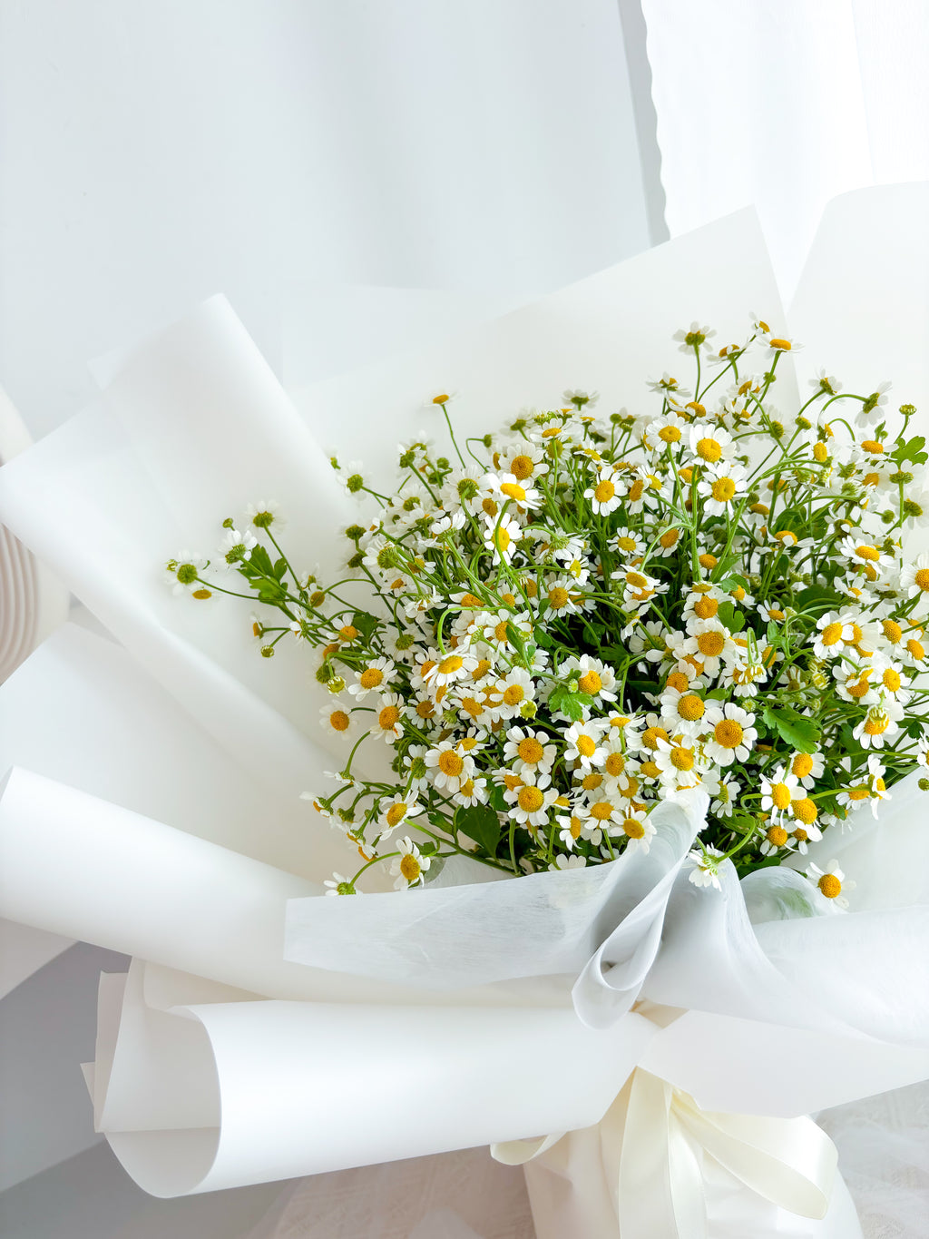 Fresh Chamomile Bouquet