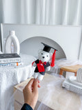 Mini Teddy