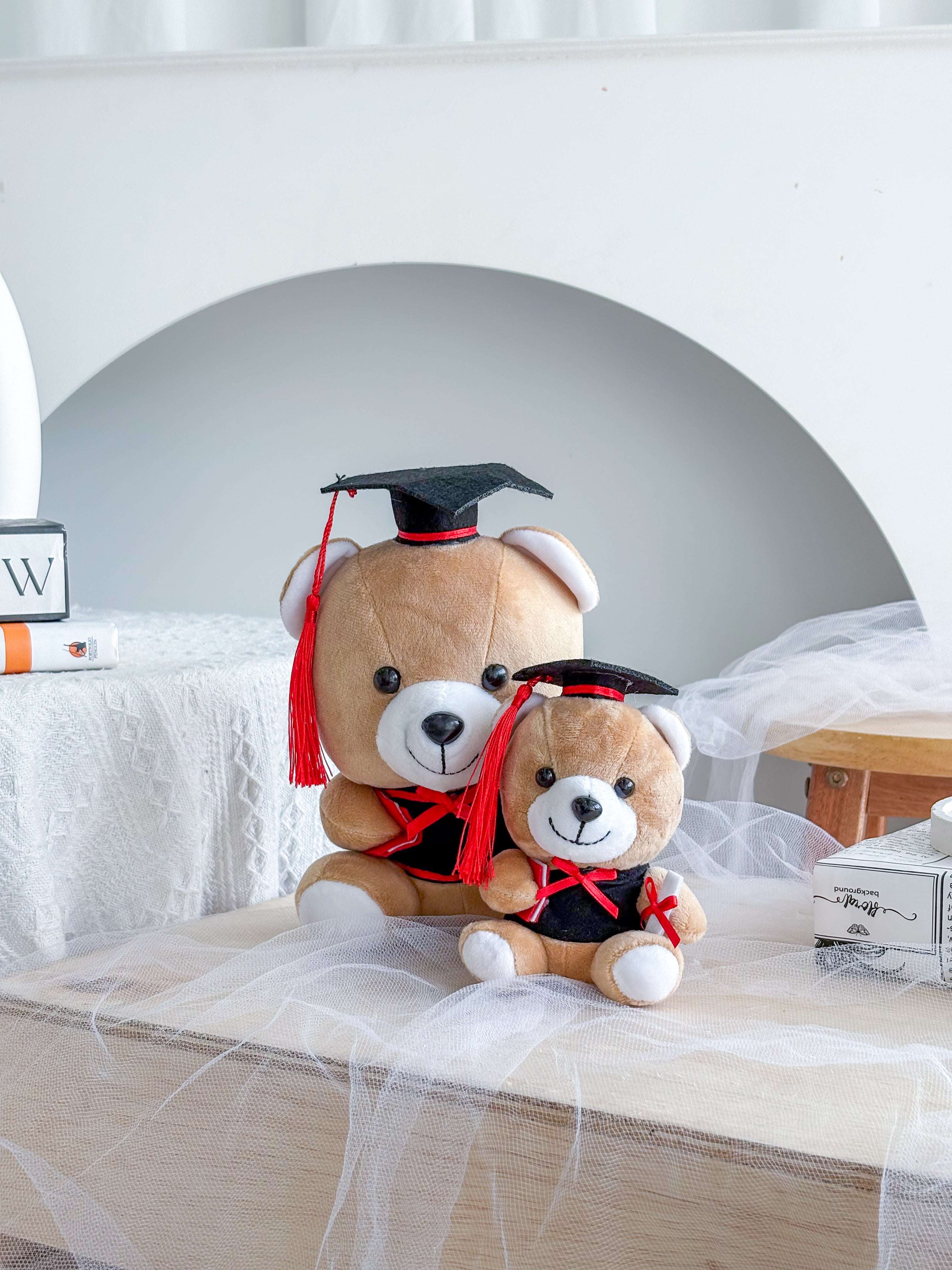 4 Inch Grad Teddy (Random Design)